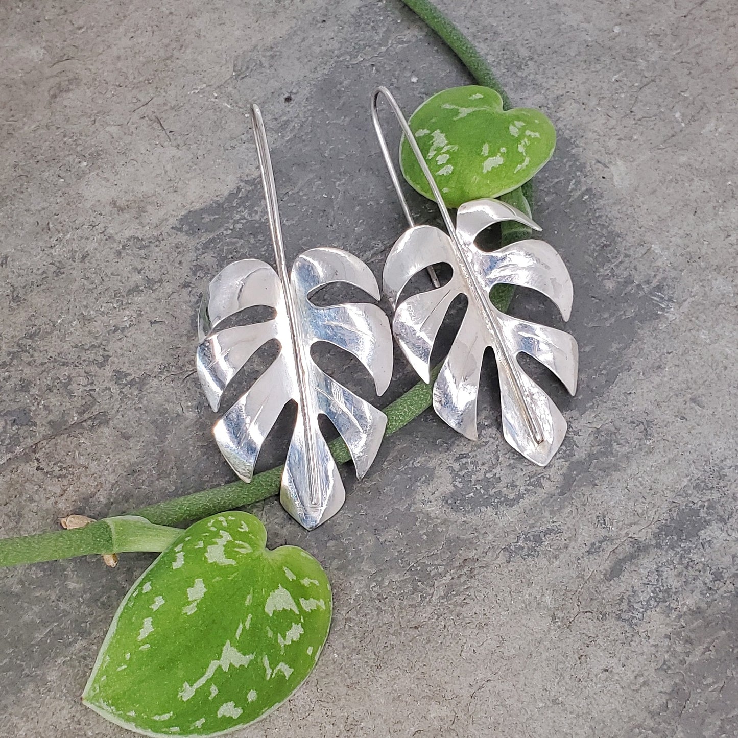 Monstera Earrings